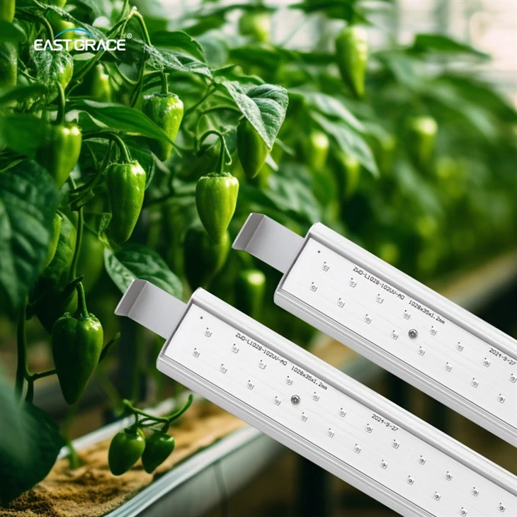 60W Add-In LED Grow Light Bar Module