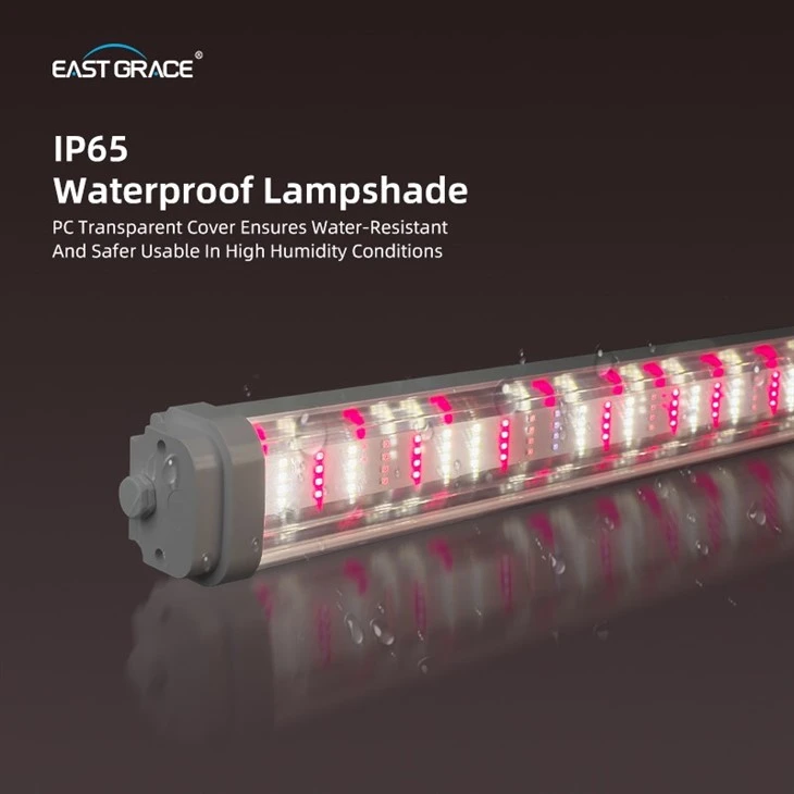 660nm 6252 Triproof Grow Light Bar suppliers