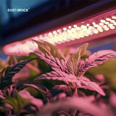 1.2m biedja vertikali LED tikber dawl