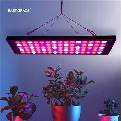 IP40 SLIM LED Grow Light Panel
